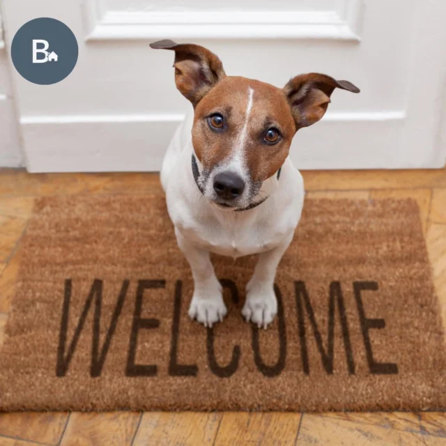 Looking for a dog friendly getaway in Kent? 🐶✨

Bring your furry friends along — a number of our properties are 100% dog-friendly! 

From scenic coastal walks to cosy evenings by the fire, we’ve got everything you and your dog need!

Tag someone who needs a dog-friendly escape! 🐾💼

#DogFriendlyKent #KentGetaway #PawsAndRelax #HolidayWithDogs #DogFriendlyUK
